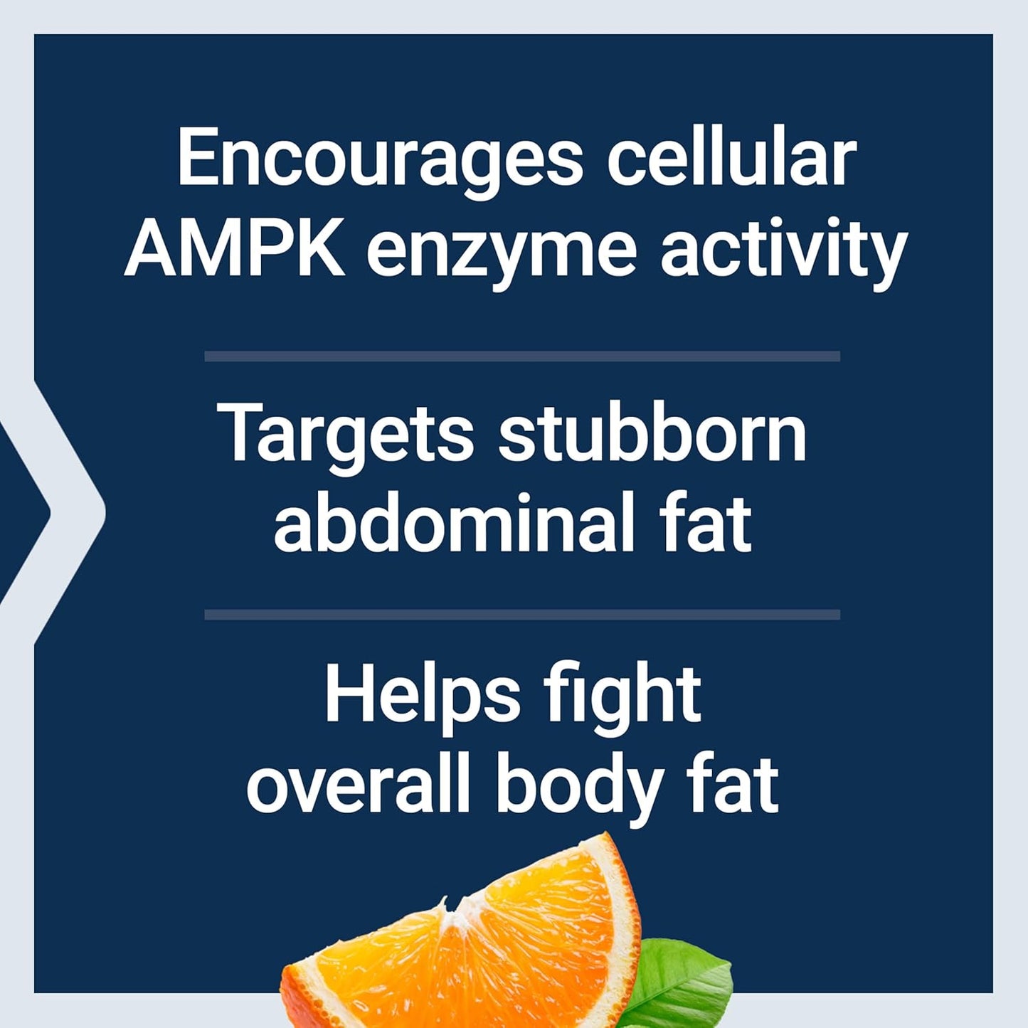 Life Extension AMPK Metabolic Activator, hesperidin, G. pentaphyllum, fight unwanted belly fat & revitalize cellular metabolism, gluten-free, non-GMO, 30 Vegetarian Tablets